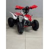 QUAD 1000W 36V   Con pantalla MINIRAPTOR 6