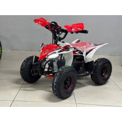 QUAD 1000W 36V   Con pantalla MINIRAPTOR 6