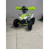 QUAD 1000W 36V   Con pantalla MINIRAPTOR 6