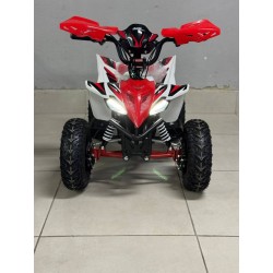 QUAD 1000W 36V   Con pantalla MINIRAPTOR 6