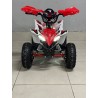 QUAD 1000W 36V   Con pantalla MINIRAPTOR 6