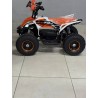 QUAD 1000W 36V   Con pantalla MINIRAPTOR 6