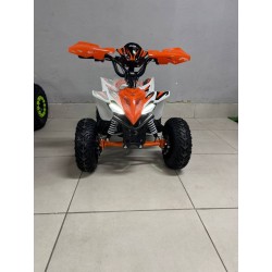 QUAD 1000W 36V   Con pantalla MINIRAPTOR 6