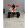 QUAD 1000W 36V   Con pantalla MINIRAPTOR 6