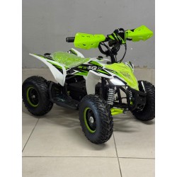 QUAD 1000W 36V   Con pantalla MINIRAPTOR 6