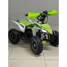 QUAD 1000W 36V   Con pantalla MINIRAPTOR 6