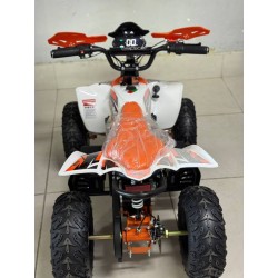 QUAD 1000W 36V   Con pantalla MINIRAPTOR 6