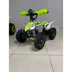 QUAD 1000W 36V   Con pantalla MINIRAPTOR 6