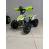 QUAD 1000W 36V   Con pantalla MINIRAPTOR 6