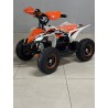 QUAD 1000W 36V   Con pantalla MINIRAPTOR 6