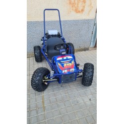 GO KART 1000W 48 RAYO