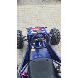 GO KART 1000W 48 RAYO