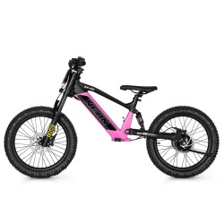 BICI ELECTRICA NEON  EX R20 750W 36v