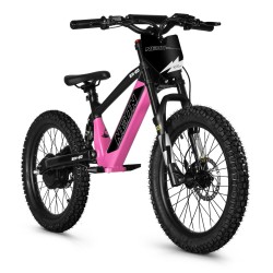 BICI ELECTRICA NEON  EX R20 750W 36v