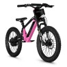 BICI ELECTRICA NEON  EX R20 750W 36v