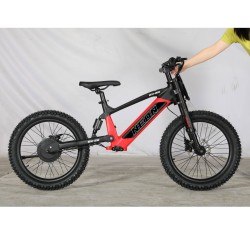 BICI ELECTRICA NEON  EX R20 550W 36v