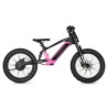 BICI ELECTRICA NEON  EX R20 550W 36v