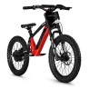 BICI ELECTRICA NEON  EX R20 550W 36v