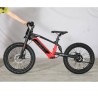 BICI ELECTRICA NEON  EX R20 550W 36v