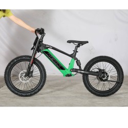 BICI ELECTRICA NEON  EX R20 550W 36v
