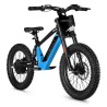 BICI ELECTRICA NEON 18 550W 36V 7.8AH