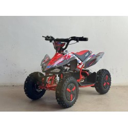 QUAD 1000W 36V Scorpion