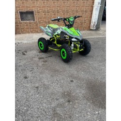 QUAD 1000W 36V Scorpion