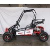 BUGGY RAZOR 150CC R8AUTOMATICO