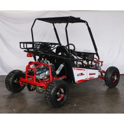 BUGGY RAZOR 150CC R8AUTOMATICO