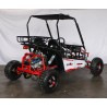 BUGGY RAZOR 150CC R8AUTOMATICO