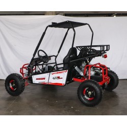 BUGGY RAZOR 150CC R8AUTOMATICO