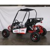 BUGGY RAZOR 150CC R8AUTOMATICO