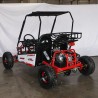 BUGGY RAZOR 150CC R8AUTOMATICO