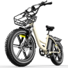 Bicicleta eléctrica Urban Pioneer