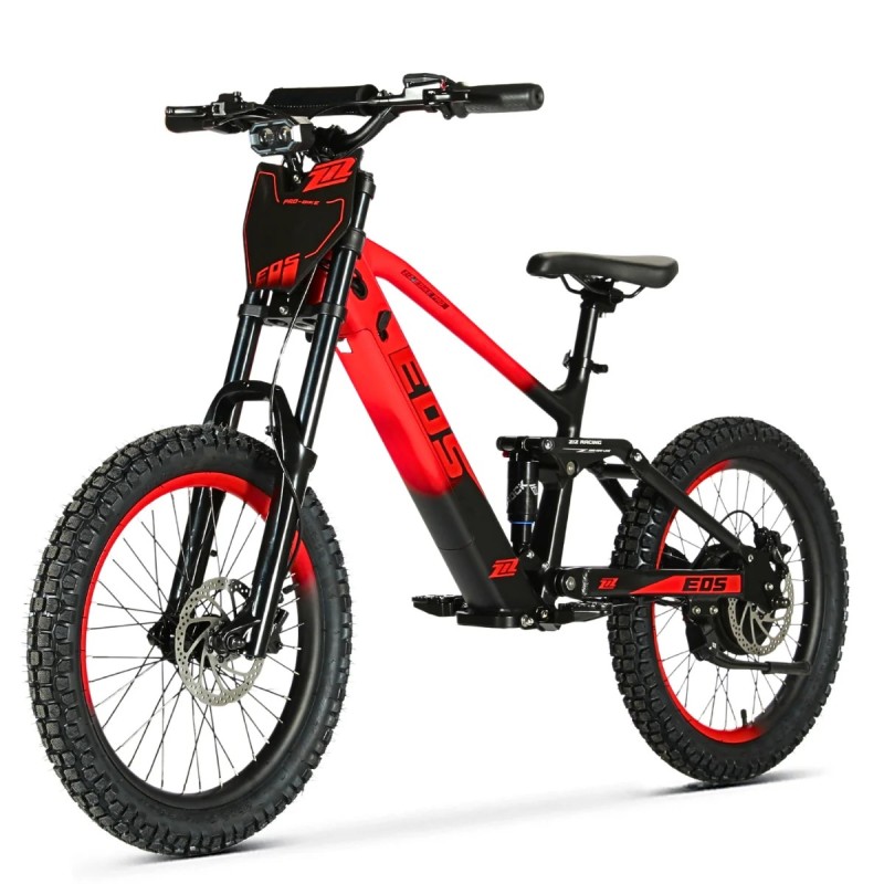 BICI ELECTRICA MRACING EOS PRO R20 1200W 48V ZIZ.RACING