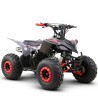 QUAD 125CC 4T AUTOMATICO 1+N+R ZIZ.RACING R8