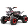QUAD 125CC 4T AUTOMATICO 1+N+R ZIZ.RACING R8
