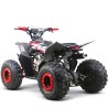 QUAD 125CC 4T AUTOMATICO 1+N+R ZIZ.RACING R8