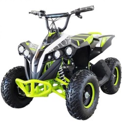 Mini Quad Infantil Eléctrico Goliat 1200W