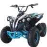 Mini Quad Infantil Eléctrico Goliat 1200W