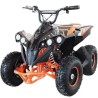 Mini Quad Infantil Eléctrico Goliat 1200W