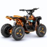 MINI QUAD ELÉCTRICO NEON 1200W 48V
