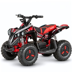 MINI QUAD ELÉCTRICO NEON 1200W 48V