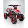 MINI QUAD SCORPION 1200W 36V