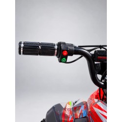 MINI QUAD SCORPION 1200W 36V