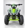 MINI QUAD SCORPION 1200W 36V