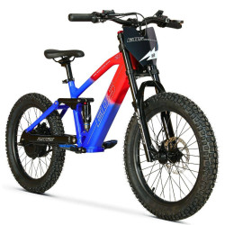 BICI ELECTRICA EOS PRO R20 750W 48V ZIZ.RACING